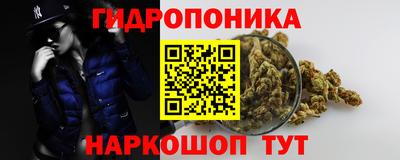 шишки Бийск
