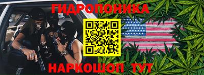 шишки Бийск