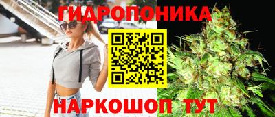 гидропоника Берёзовский