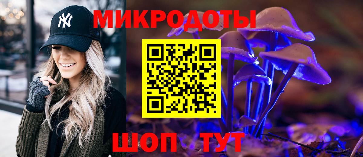 Псилоцибиновые грибы мицелий  Вход с VPN  Псилоцибиновые грибы GOLDEN TEACHER  Казань 